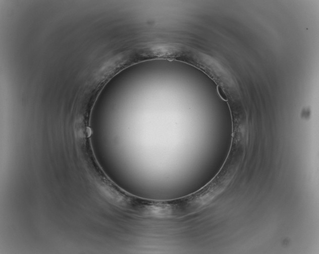 X0000097650317200802291456