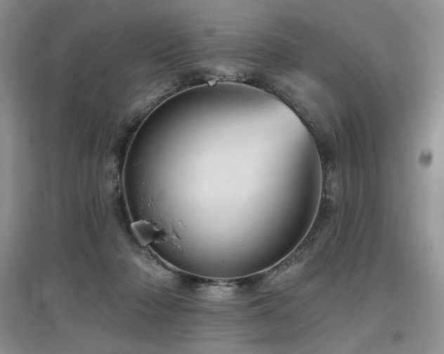 X0000097650318200802291456