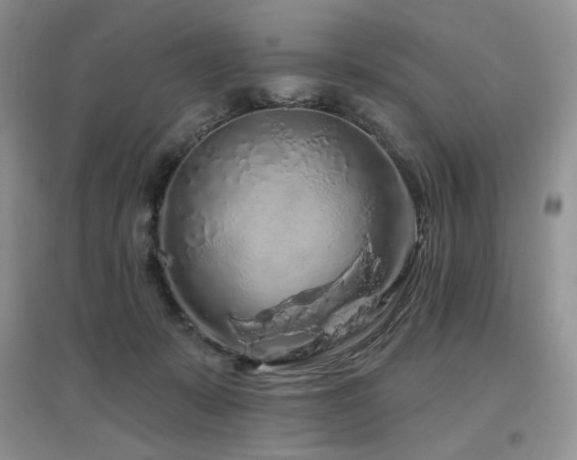 X0000097650319200802291456