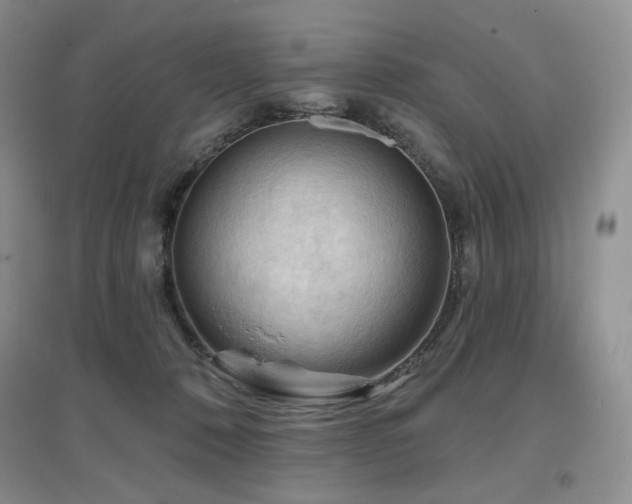 X0000097650320200802291456