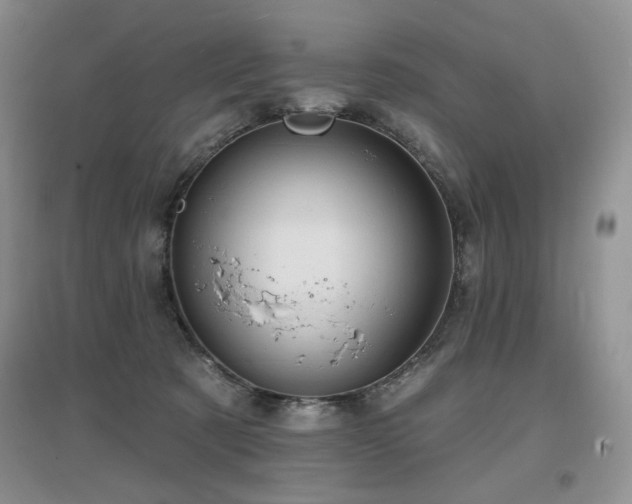 X0000097650321200802291456