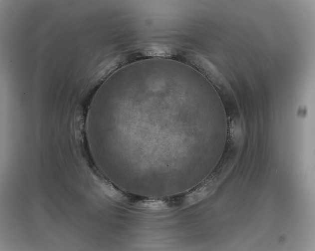 X0000097650322200802291456