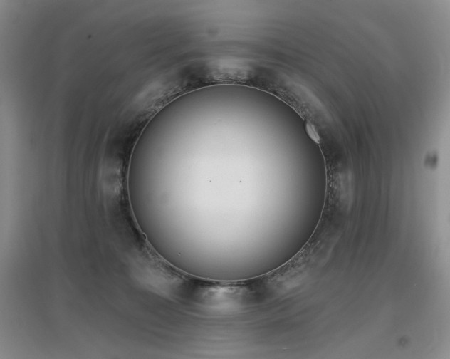 X0000097650323200802291456