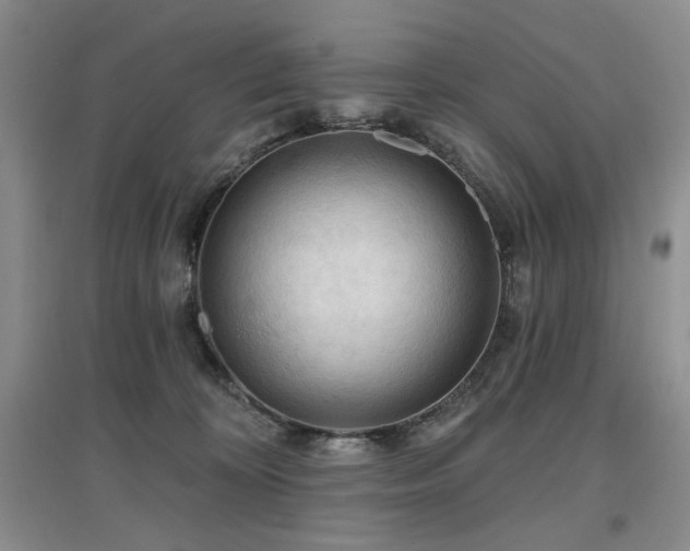 X0000097650324200802291456