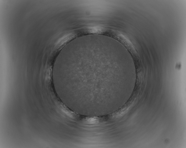 X0000097650325200802291456