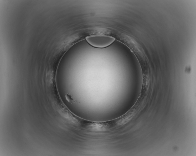 X0000097650326200802291456