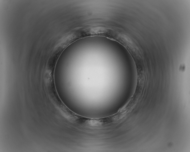 X0000097650327200802291456