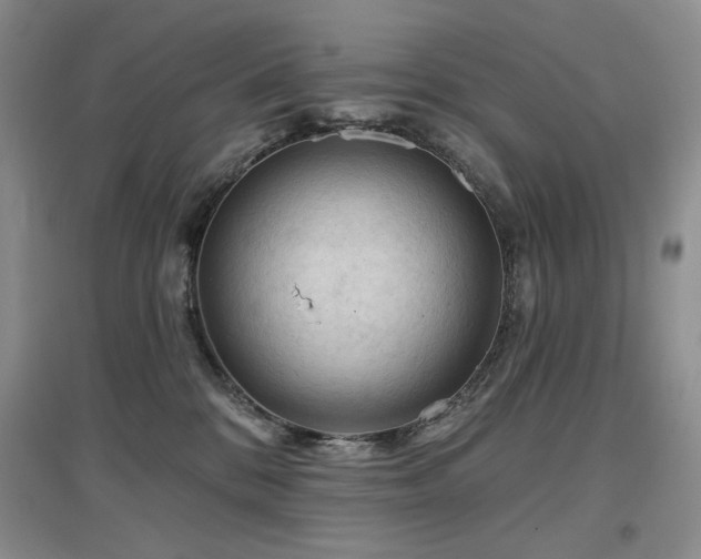 X0000097650328200802291456