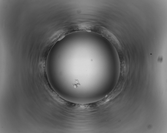 X0000097650329200802291456