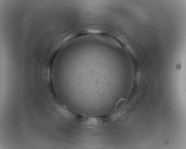 X0000097650330200802291456