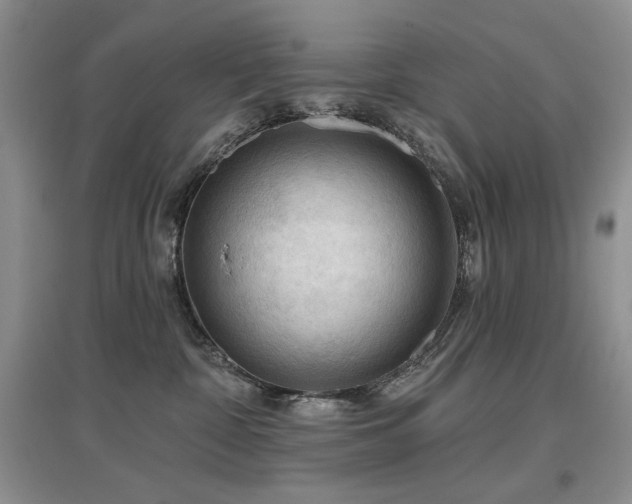 X0000097650332200802291456