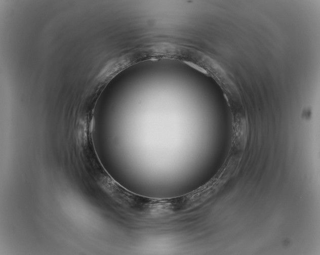 X0000097650333200802291456