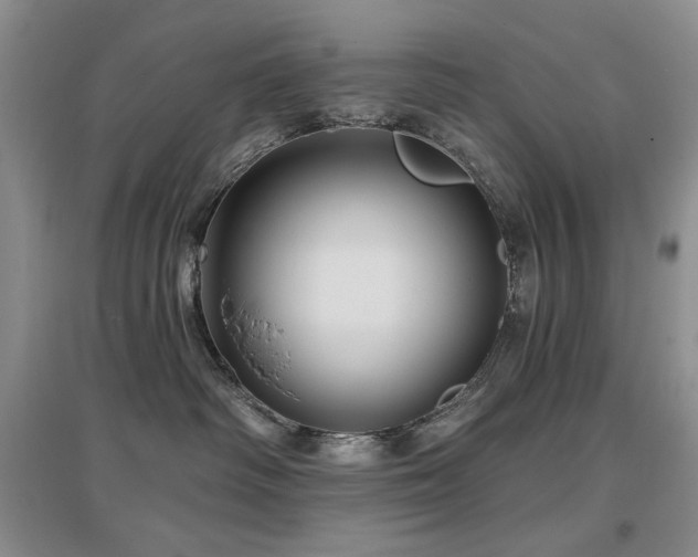 X0000097650334200802291456