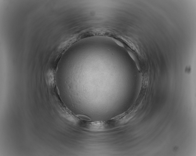 X0000097650335200802291456