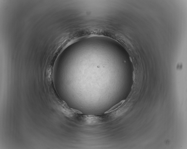 X0000097650336200802291456