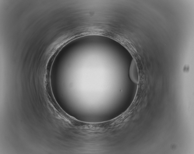 X0000097650338200802291455