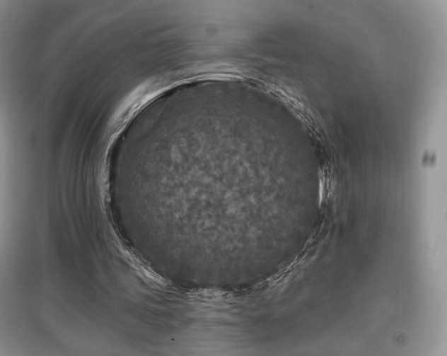 X0000097650339200802291455