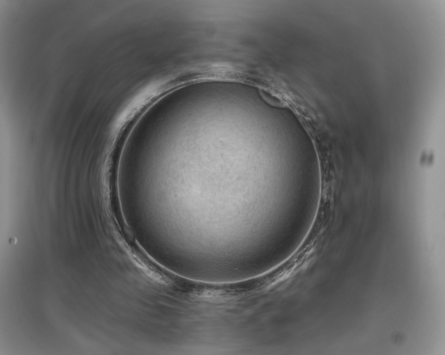 X0000097650341200802291455