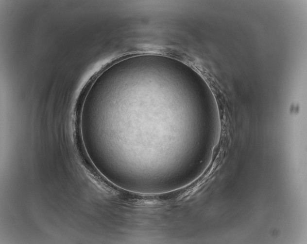 X0000097650342200802291455