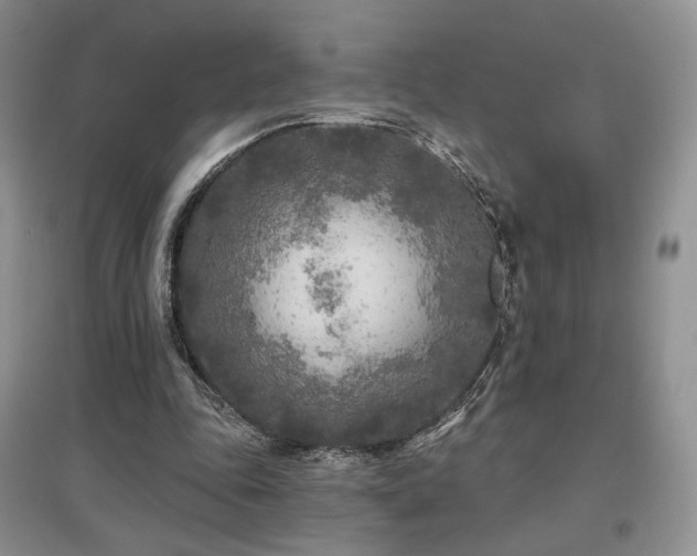 X0000097650343200802291455