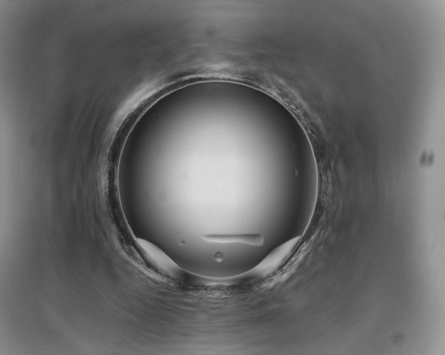 X0000097650344200802291455