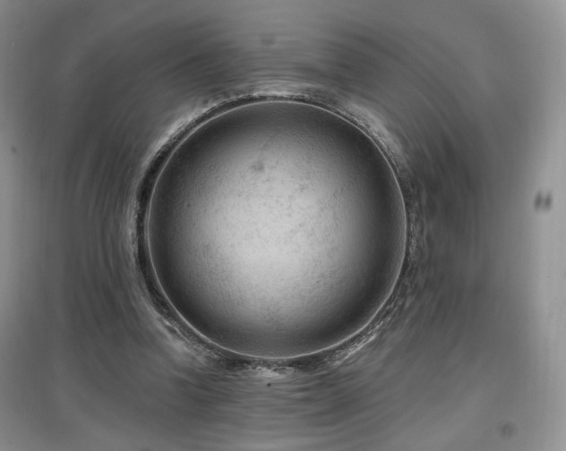 X0000097650346200802291455