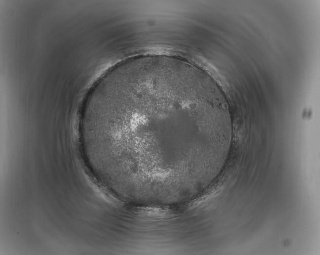 X0000097650347200802291455