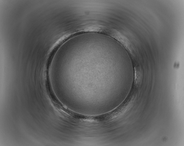 X0000097650348200802291455