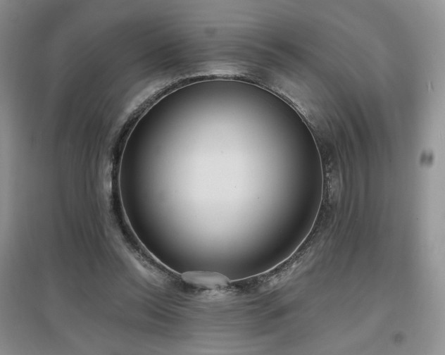 X0000097650350200802291455