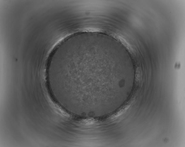 X0000097650351200802291455