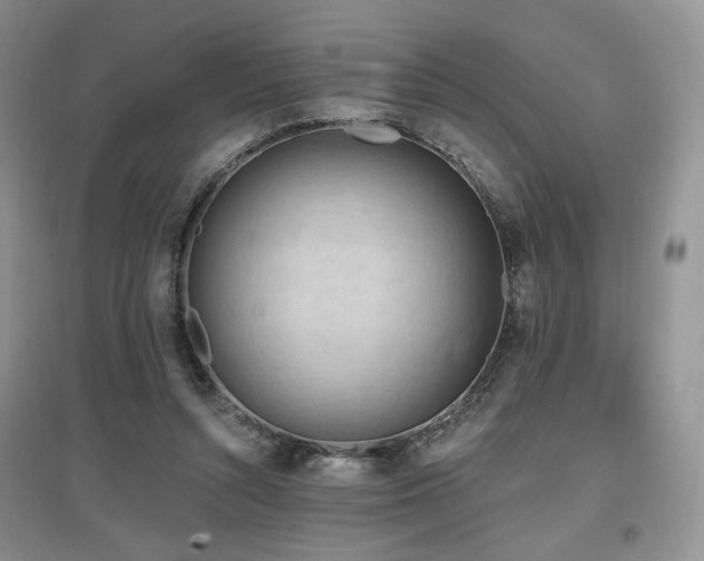 X0000097650352200802291455