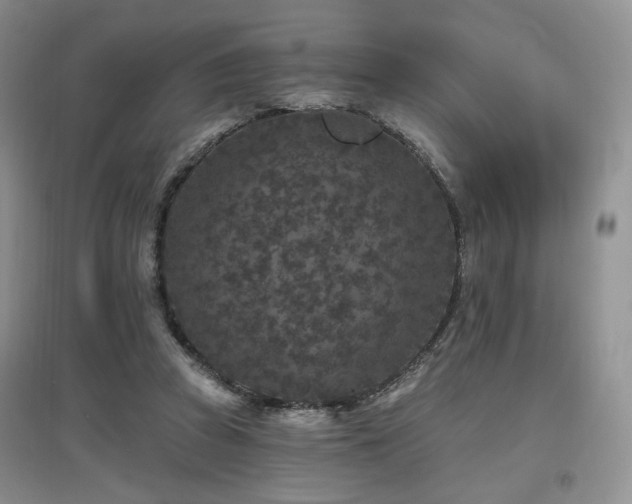 X0000097650353200802291455