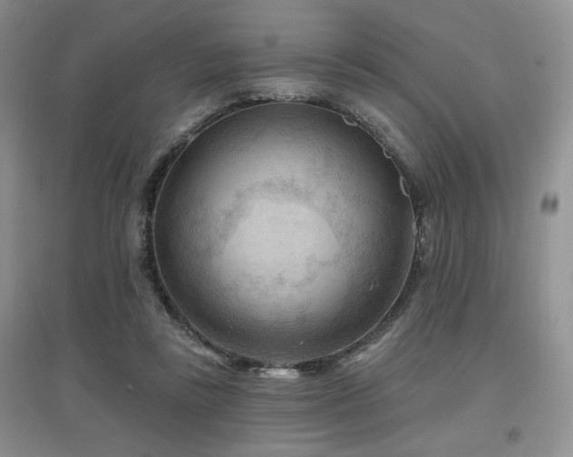 X0000097650355200802291455