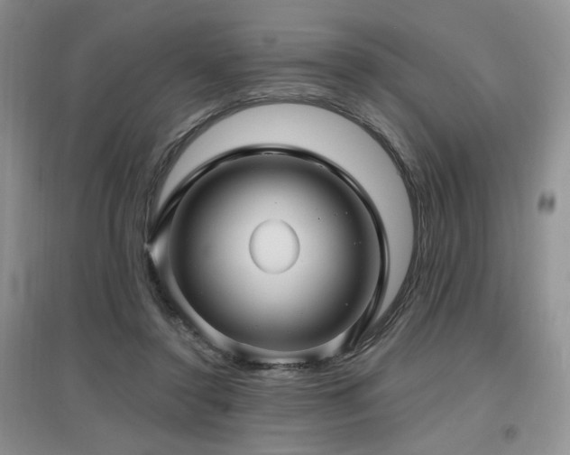 X0000097650356200802291455