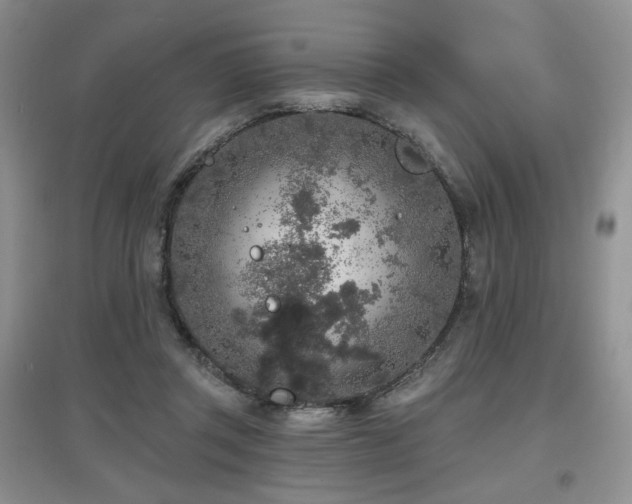 X0000097650357200802291455