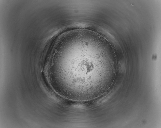 X0000097650358200802291455