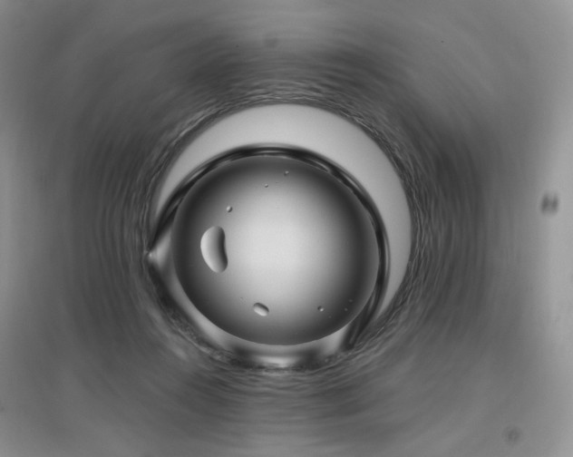 X0000097650360200802291455