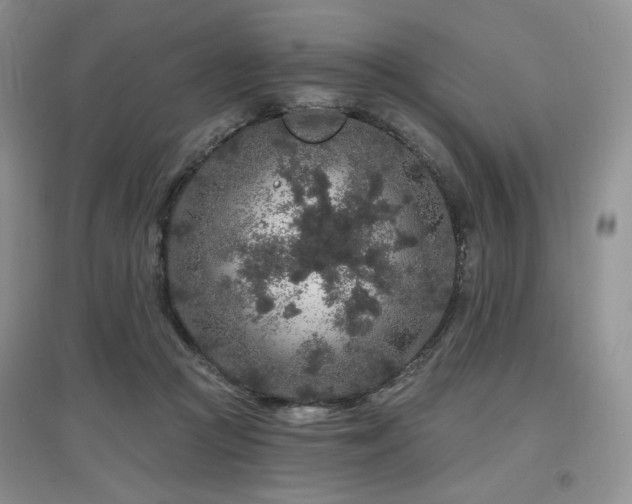 X0000097650361200802291455