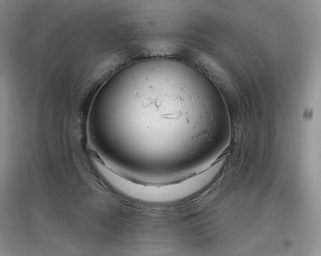 X0000097650362200802291455