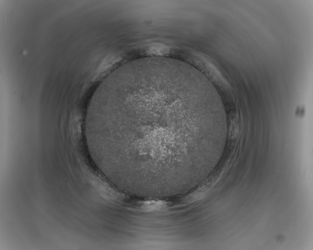 X0000097650363200802291455