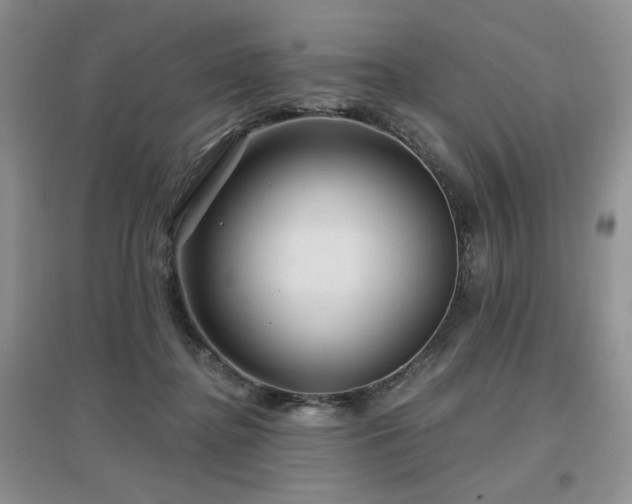 X0000097650364200802291455