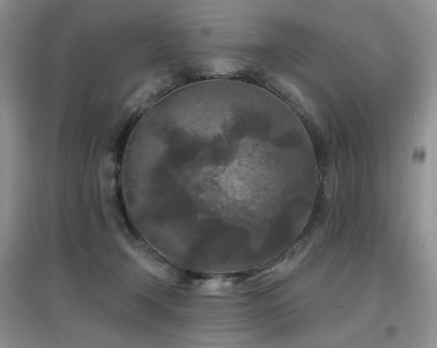 X0000097650366200802291455