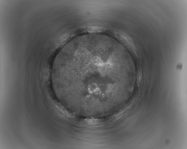 X0000097650367200802291455