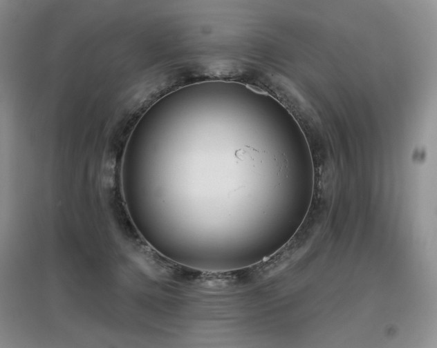 X0000097650368200802291455