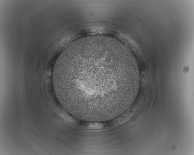 X0000097650369200802291455