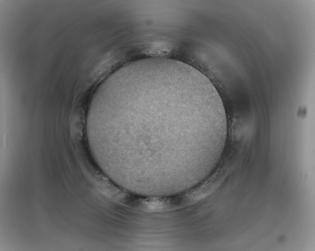 X0000097650370200802291455