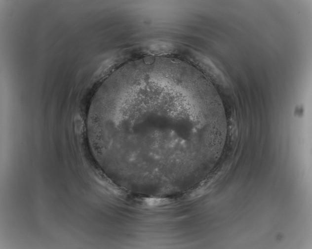 X0000097650371200802291455