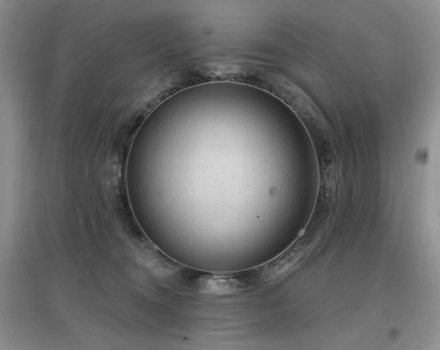 X0000097650372200802291455