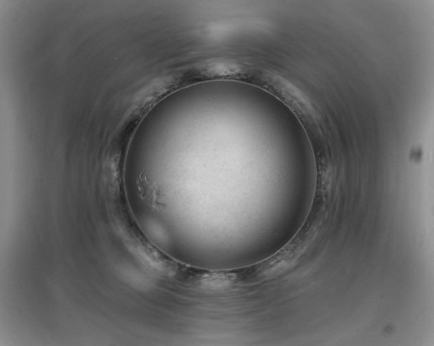 X0000097650373200802291455