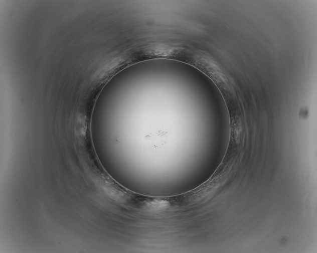 X0000097650374200802291455